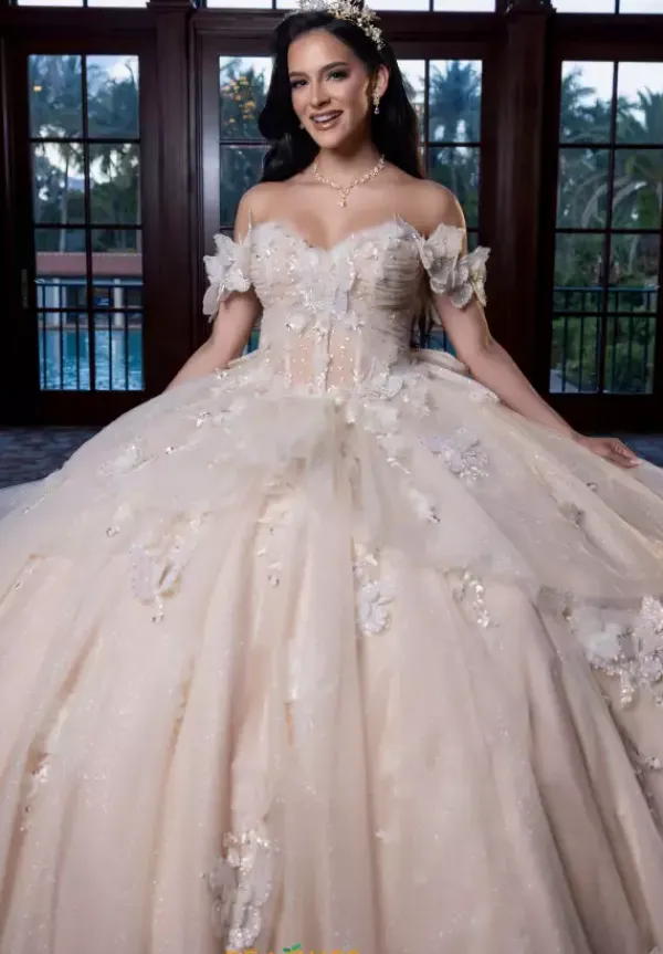 Quinceanera 4080017^Vizcaya Sale