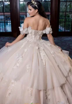 Quinceanera 4080017^Vizcaya Sale