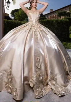 Quinceanera 4080033^Vizcaya Hot