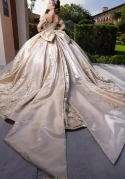 Quinceanera 4080033^Vizcaya Hot