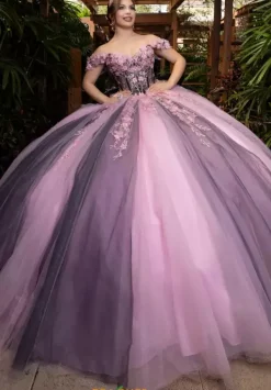 Quinceanera 4080018^Vizcaya Online