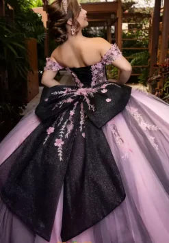 Quinceanera 4080018^Vizcaya Online