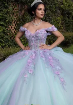 Quinceanera 4080018^Vizcaya Online