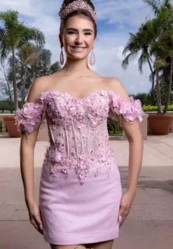 Quinceanera 4080024^Vizcaya Online