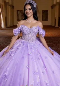 Quinceanera 4080024^Vizcaya Online