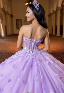 Quinceanera 4080024^Vizcaya Online