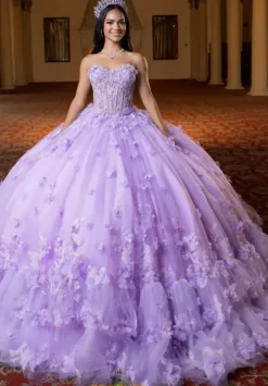 Quinceanera 4080024^Vizcaya Online
