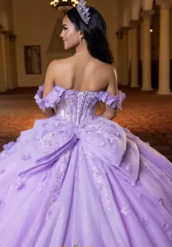 Quinceanera 4080024^Vizcaya Online