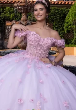 Quinceanera 4080024^Vizcaya Online