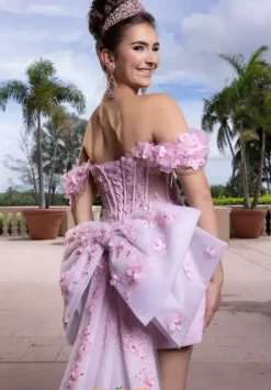 Quinceanera 4080024^Vizcaya Online