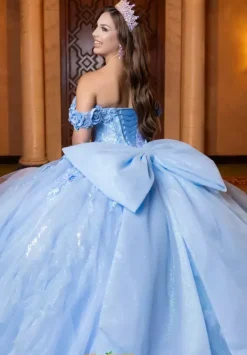 Quinceanera 4080020^Vizcaya Best