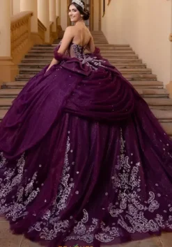 Quinceanera 4080019^Vizcaya Sale