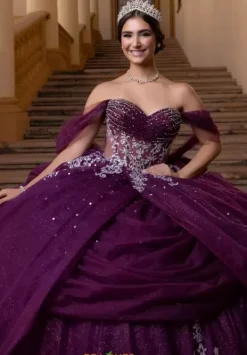 Quinceanera 4080019^Vizcaya Sale